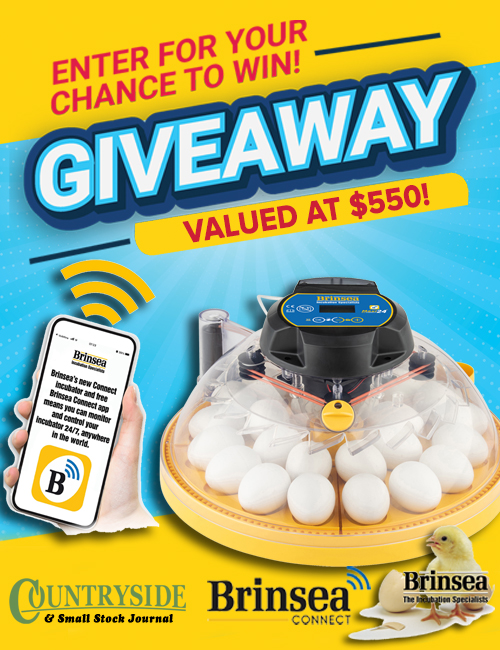 Enter for your chance to win!